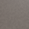 BXS-042E ELEPHANT swatch