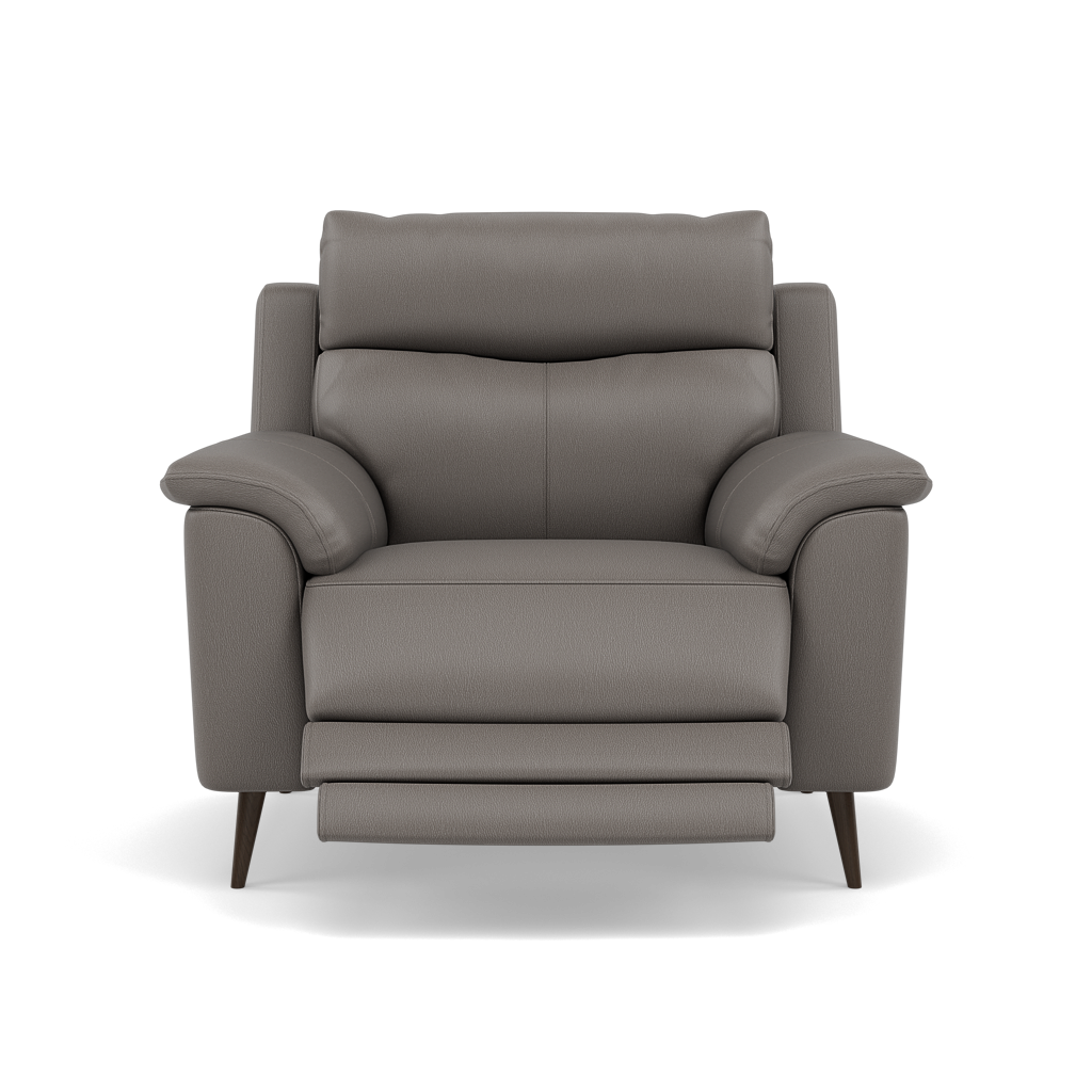 Revel Recliner Armchair - Power Recliner Chair Cat 20S - Power Recliner with USB Armchairs Sterling Home 3 NWS-042E ELEPHANT