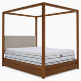 Serene Bedframe