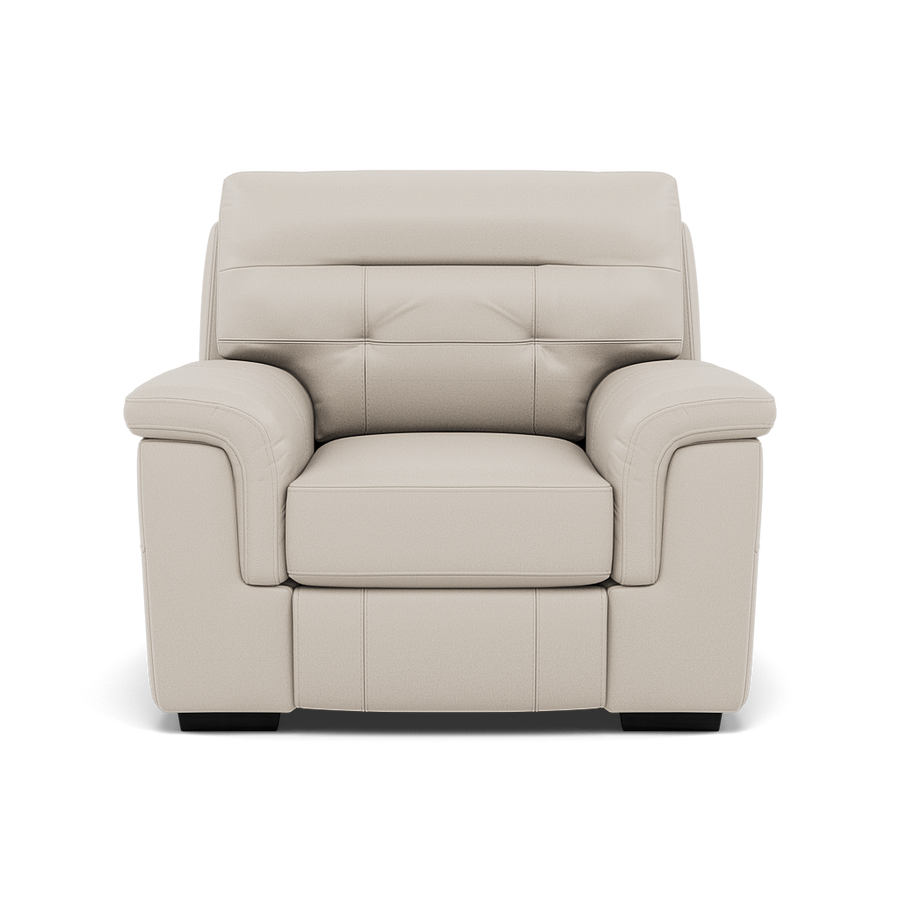 Silva Armchair - Armchair BXS Only Armchairs Sterling Home BXS-156E FROST 1