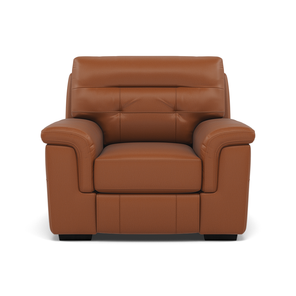Silva Armchair - Armchair BXS Only Armchairs Sterling Home 15